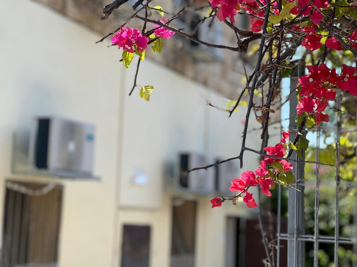 The Lion Hotel Χάιφα Εξωτερικό φωτογραφία